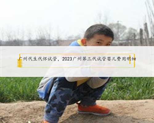 广州代生代怀试管，2023广州第三代试管婴儿费用明细