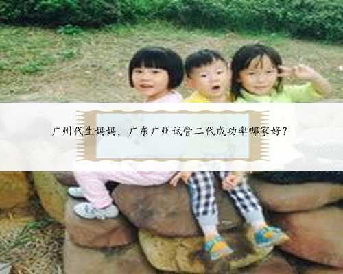 广州代生妈妈，广东广州试管二代成功率哪家好？
