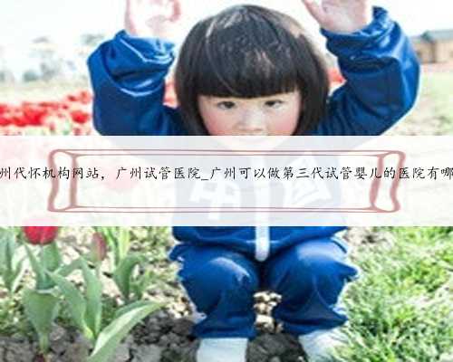 广州代怀机构网站，广州试管医院_广州可以做第三代试管婴儿的医院有哪些