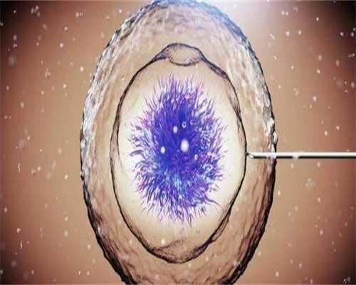 试管肝功能异常原因有哪些