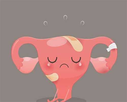 长沙用别人的卵子做试管条件，长沙试管多少钱