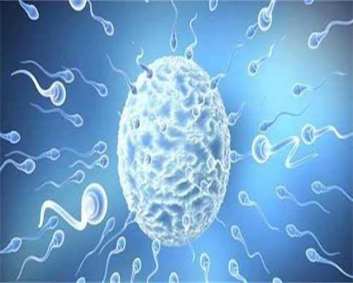 出国做试管婴儿要几次检查(国外做试管成功率很高吗)