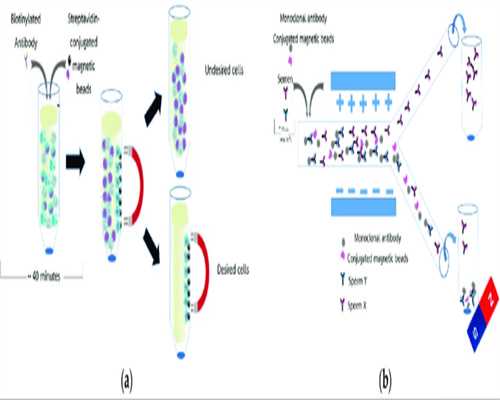 助孕包生儿子,子宫小可以做试管吗！一次全讲清楚！