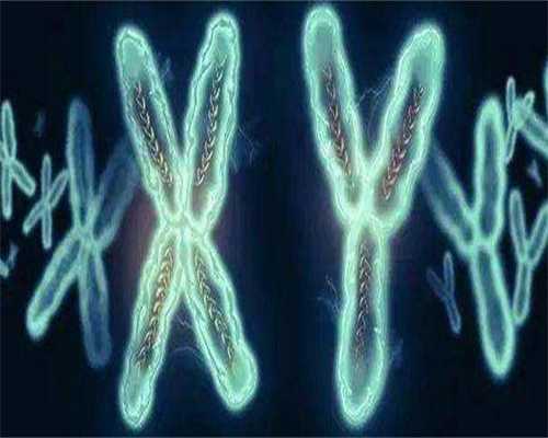 长沙代生机构_专业供卵试管代孕中心,2026年最新长沙三代试管包生男孩价格一览