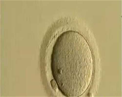 试管婴儿流程时间多久做，做试管婴儿的全部流程要多久才能完成