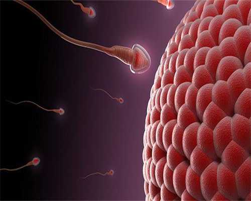 供卵价格：枸杞黄芪泡酒_枸杞黄芪泡酒的功效作用_枸杞黄芪泡酒的宜忌人群