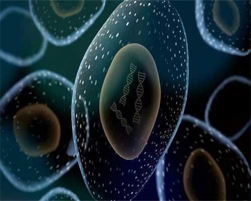 长沙代生到哪里，长沙供卵是否合法,长沙同性恋试管怀孕生孩子_长沙做试管生