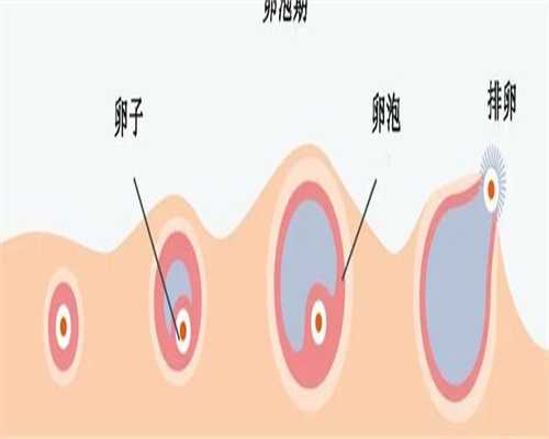 泰国三代代生妈妈网站费用需要多少，附单身代生妈妈网站流程！