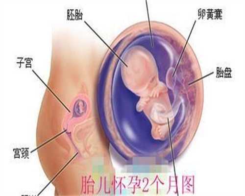 「去医院做想找人代生」去想找人代生医院该了解哪些知识