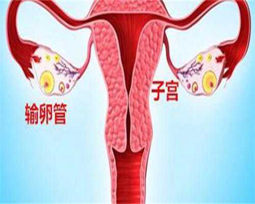 三代试管婴儿怎么做呀