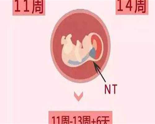 私立助孕医院：14天试纸测出怀孕的真实图片，测孕试纸下边一道若隐若现
