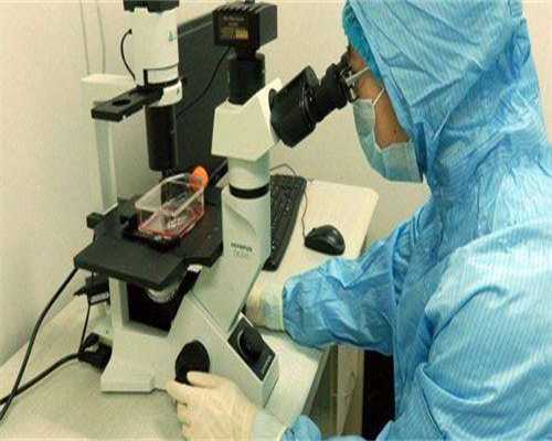 加拿大 代孕,治疗畸形精子方法盘点，手术、饮食全方位改善指南