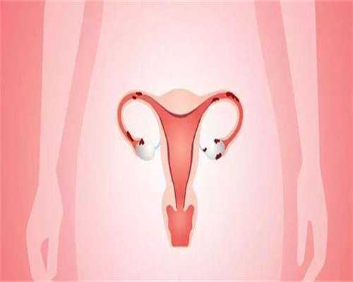 试管供精供卵医院囊胚、鲜胚、冻胚各自有什么优势，费用怎么样呢？