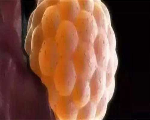 子宫有黏连可以做试管吗？