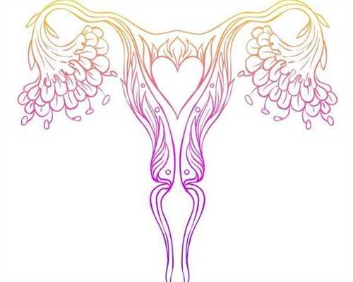 试管婴儿移植吃什么好，或不能吃什么？