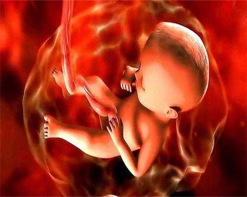 试管供卵排名：怀孕70多天试纸测不出来