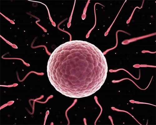 子宫畸形做试管成功率-子宫畸形做试管成功率大吗