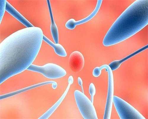 专业借卵服务：黄体酮的副作用