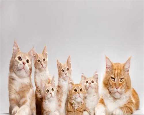 东莞哪里正规捐卵，找女人代怀