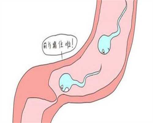 岳阳代生男女_医院包生男孩试管,长沙正规医院人工受孕费用大概是多少钱