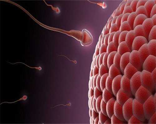 代生大约多少钱冻胚移植后固肾安胎丸少吃一天可以吗？代生大约多少钱怎么收