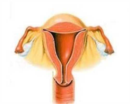 代怀机构费用：广州哪家私立医院试管,长沙做试管的最佳医院