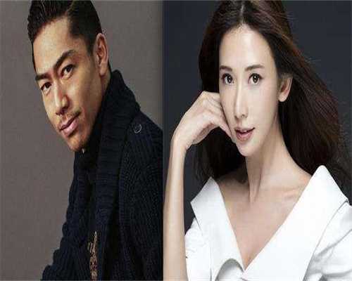 试管婴儿取卵在哪个部位