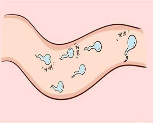做试管第几天检测卵泡最准 做试管第几天检测卵泡最准确率高